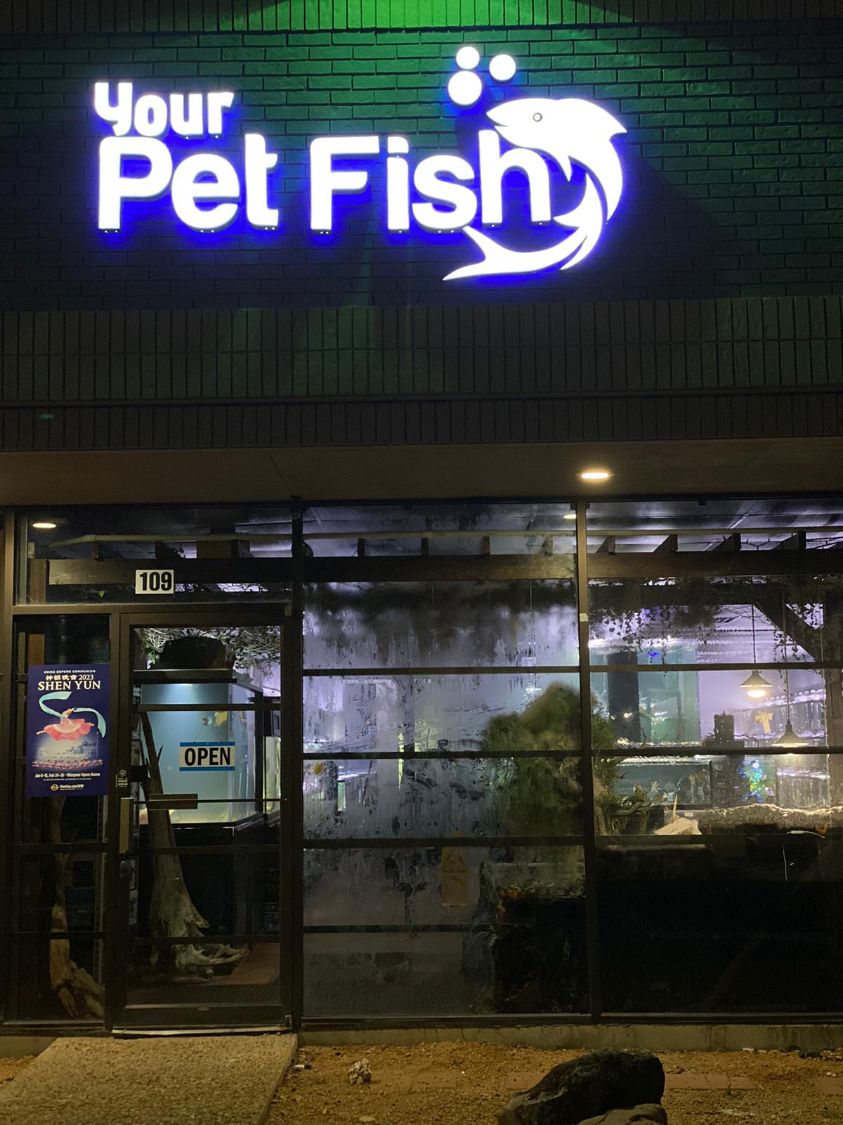 Your Pet Fish